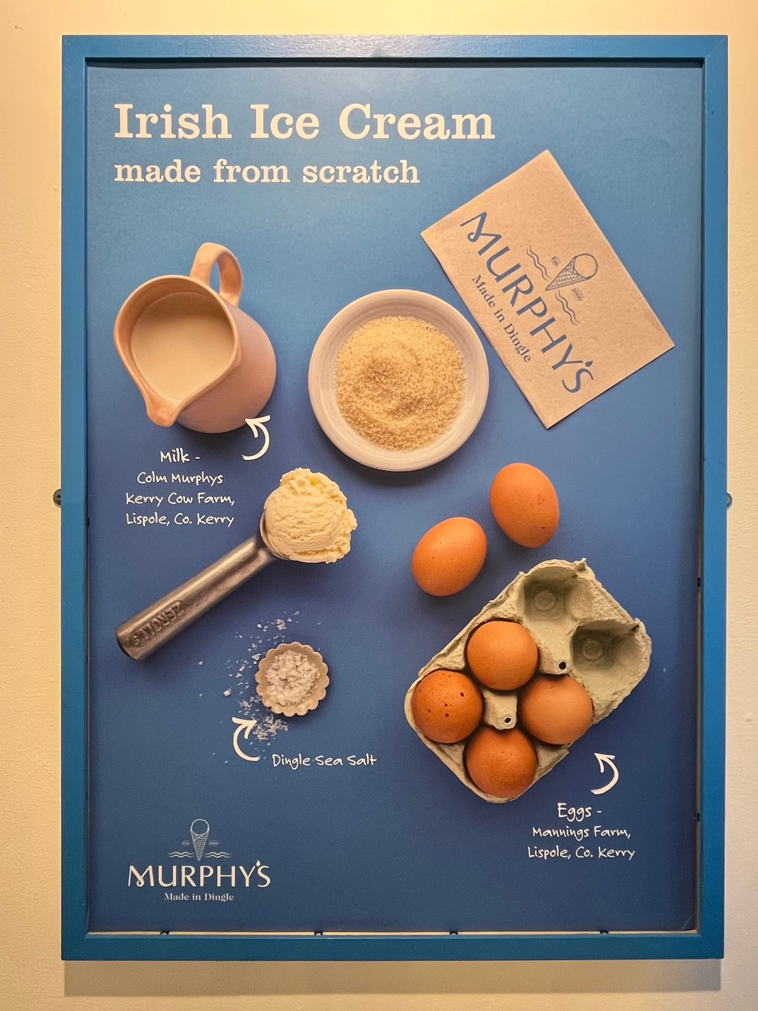 24 Hours in Dublin: Ireland Solo Travel