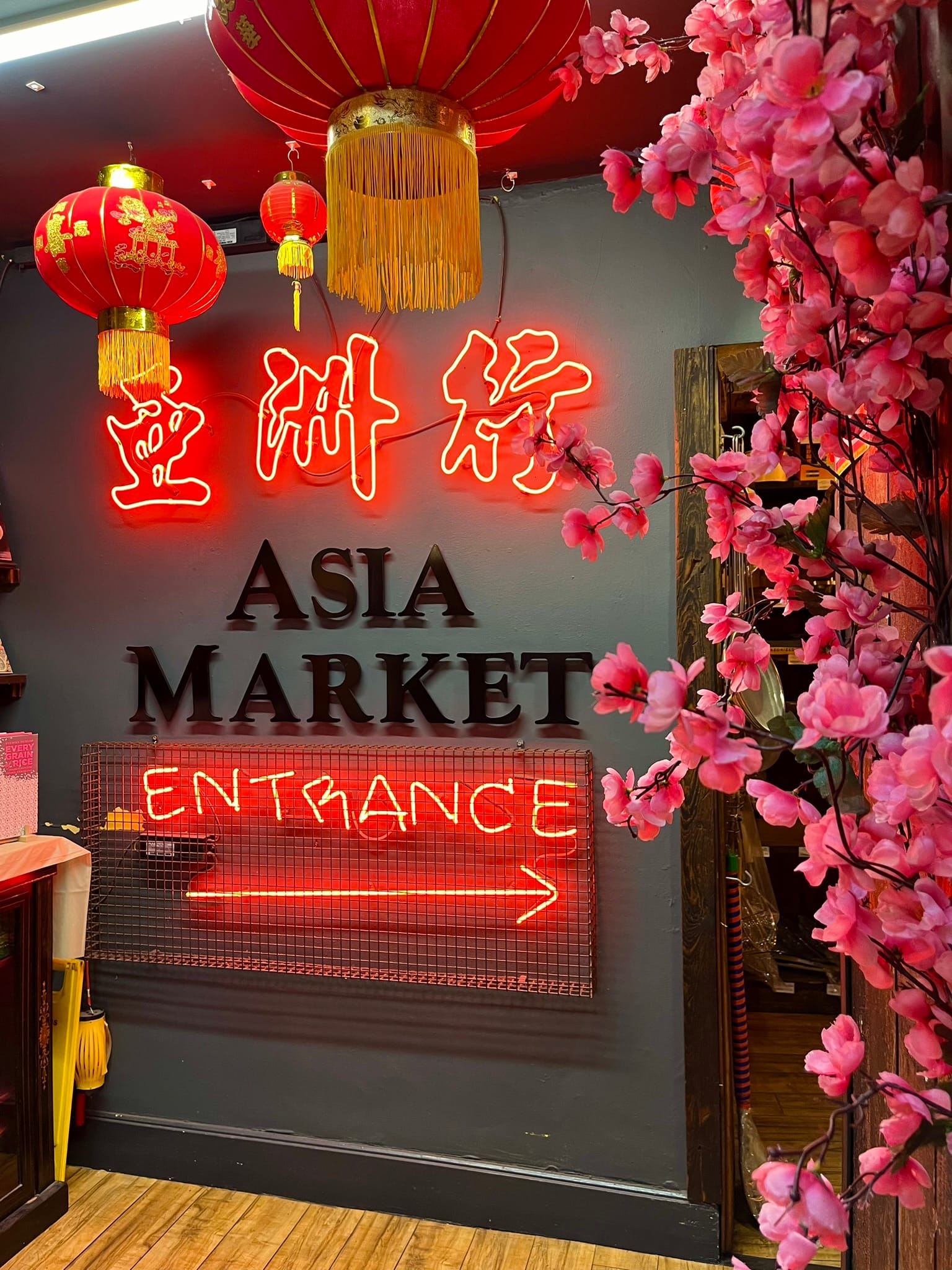 24 Hours in Dublin: Ireland Solo Travel