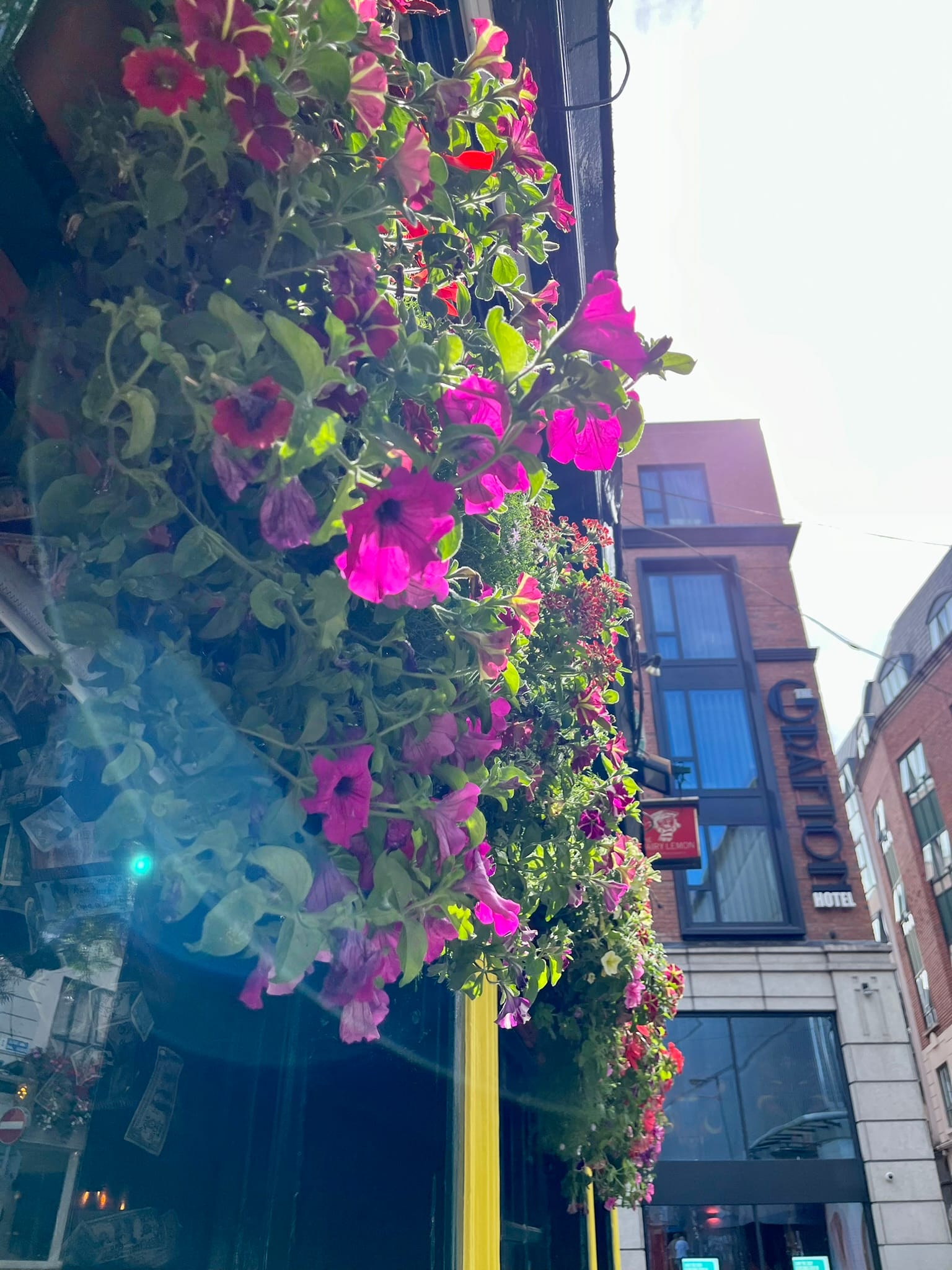 24 Hours in Dublin: Ireland Solo Travel