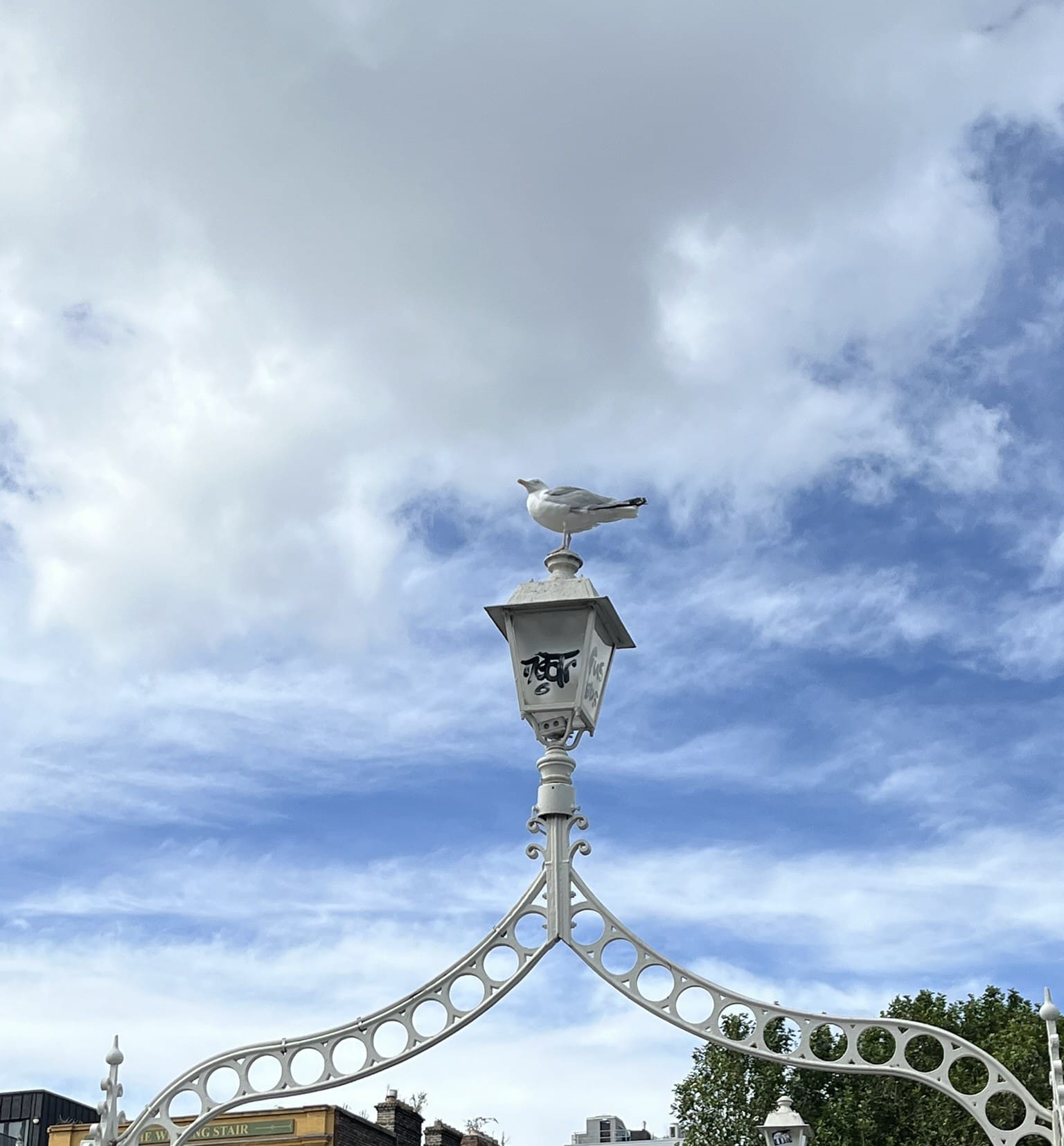 24 Hours in Dublin: Ireland Solo Travel