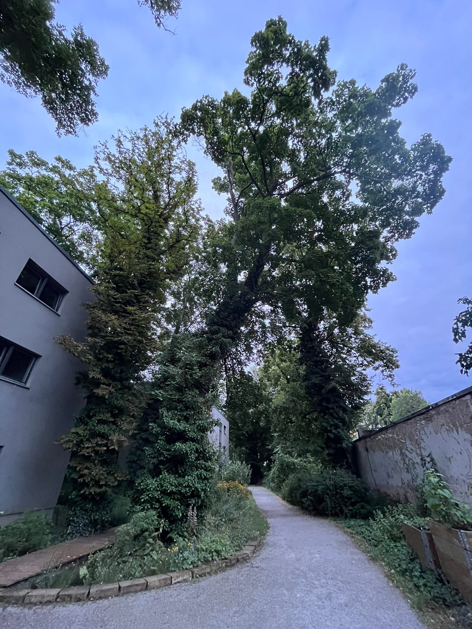 4 Best Berlin Dance Studios for Adult Drop-In Classes