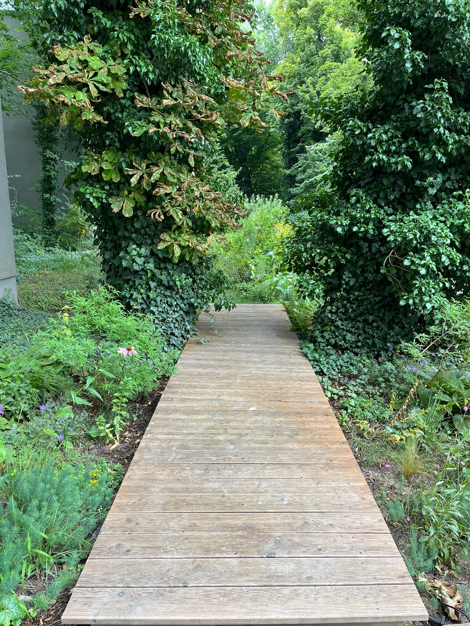 4 Best Berlin Dance Studios for Adult Drop-In Classes