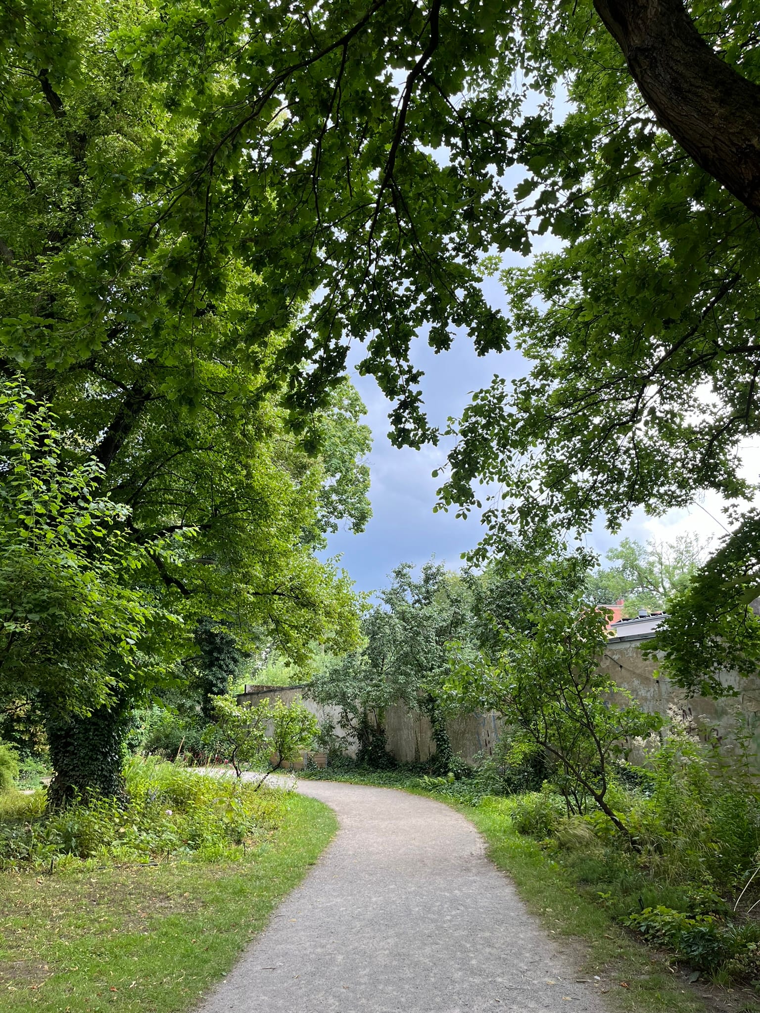 4 Best Berlin Dance Studios for Adult Drop-In Classes