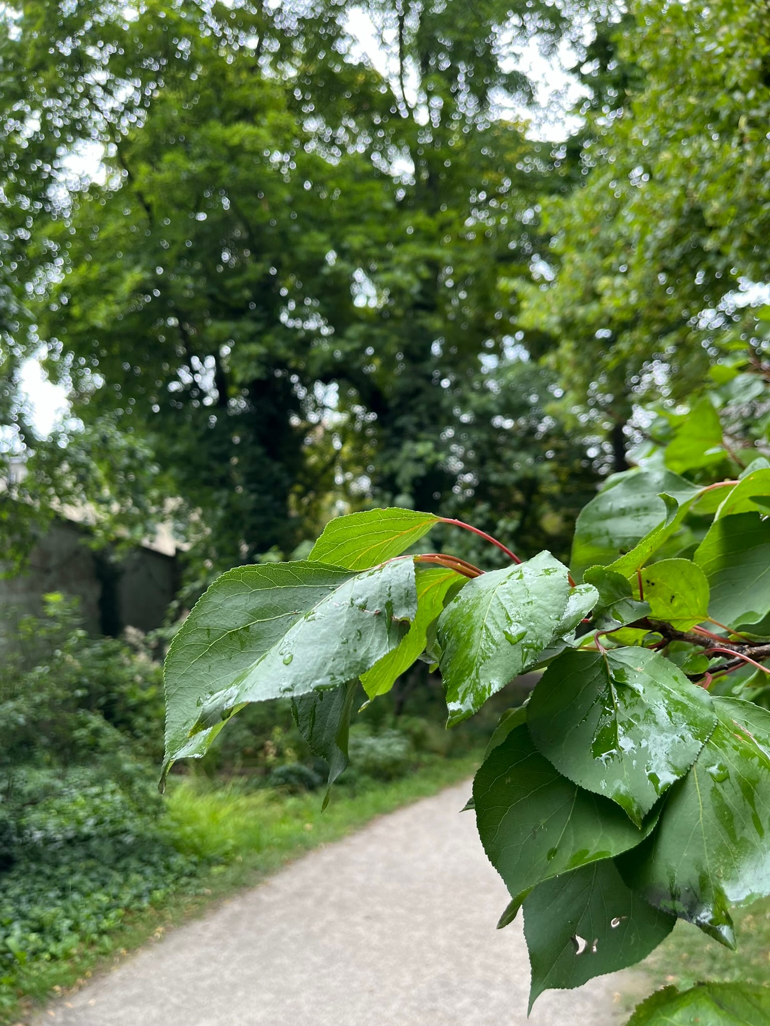 4 Best Berlin Dance Studios for Adult Drop-In Classes