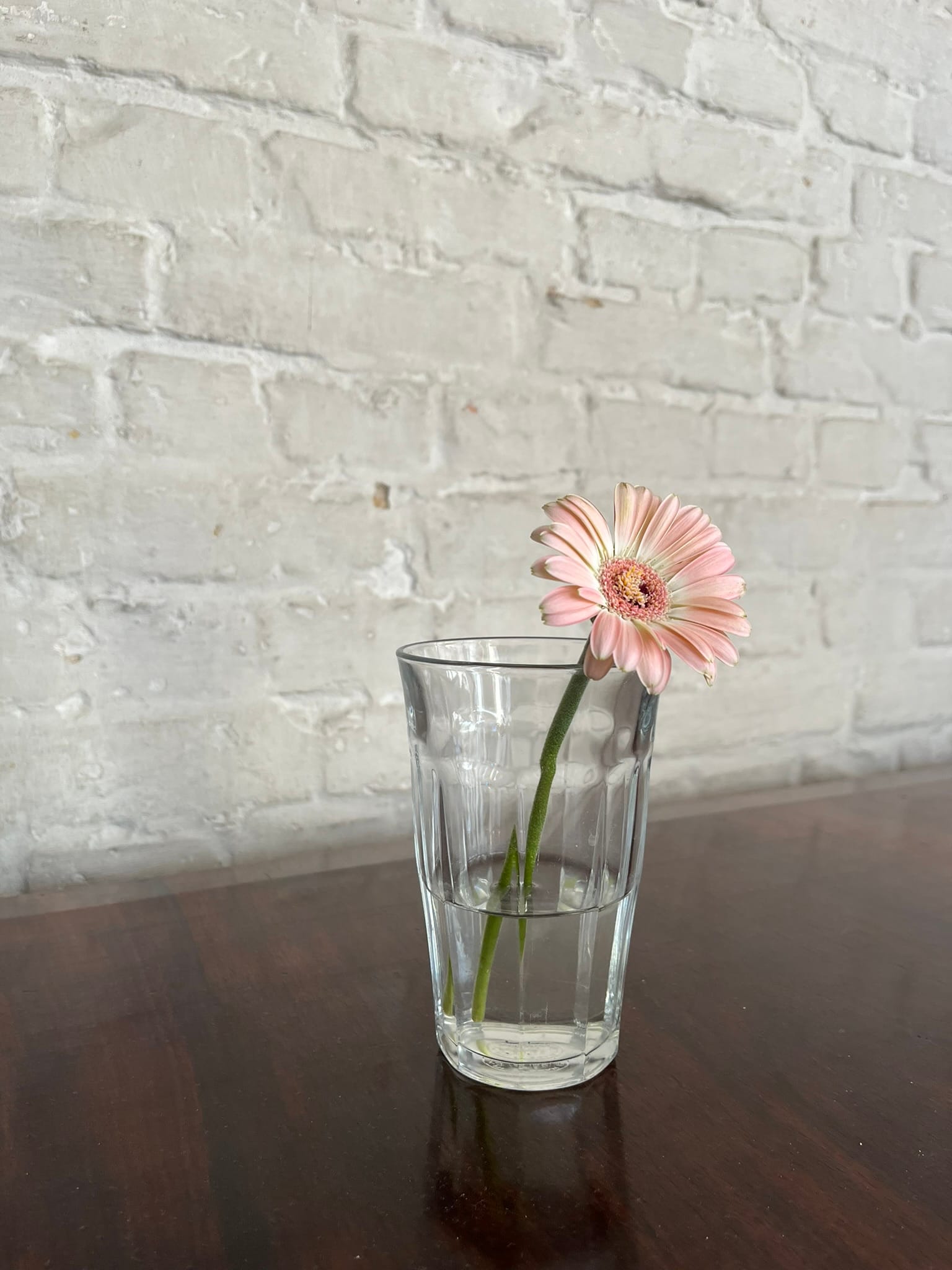 b12 Berlin Festival for Contemporary Dance: Week 3 Diary