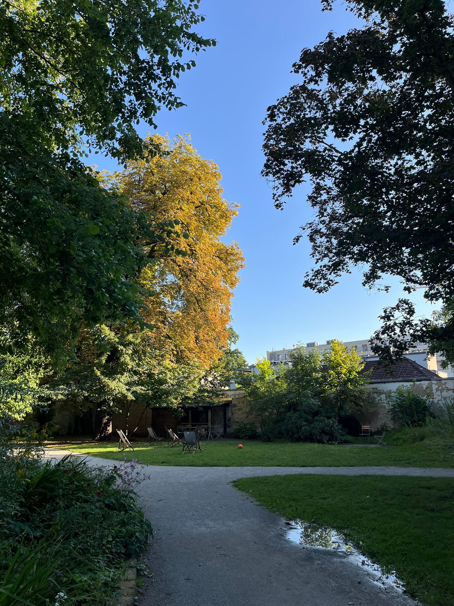 4 Best Berlin Dance Studios for Adult Drop-In Classes