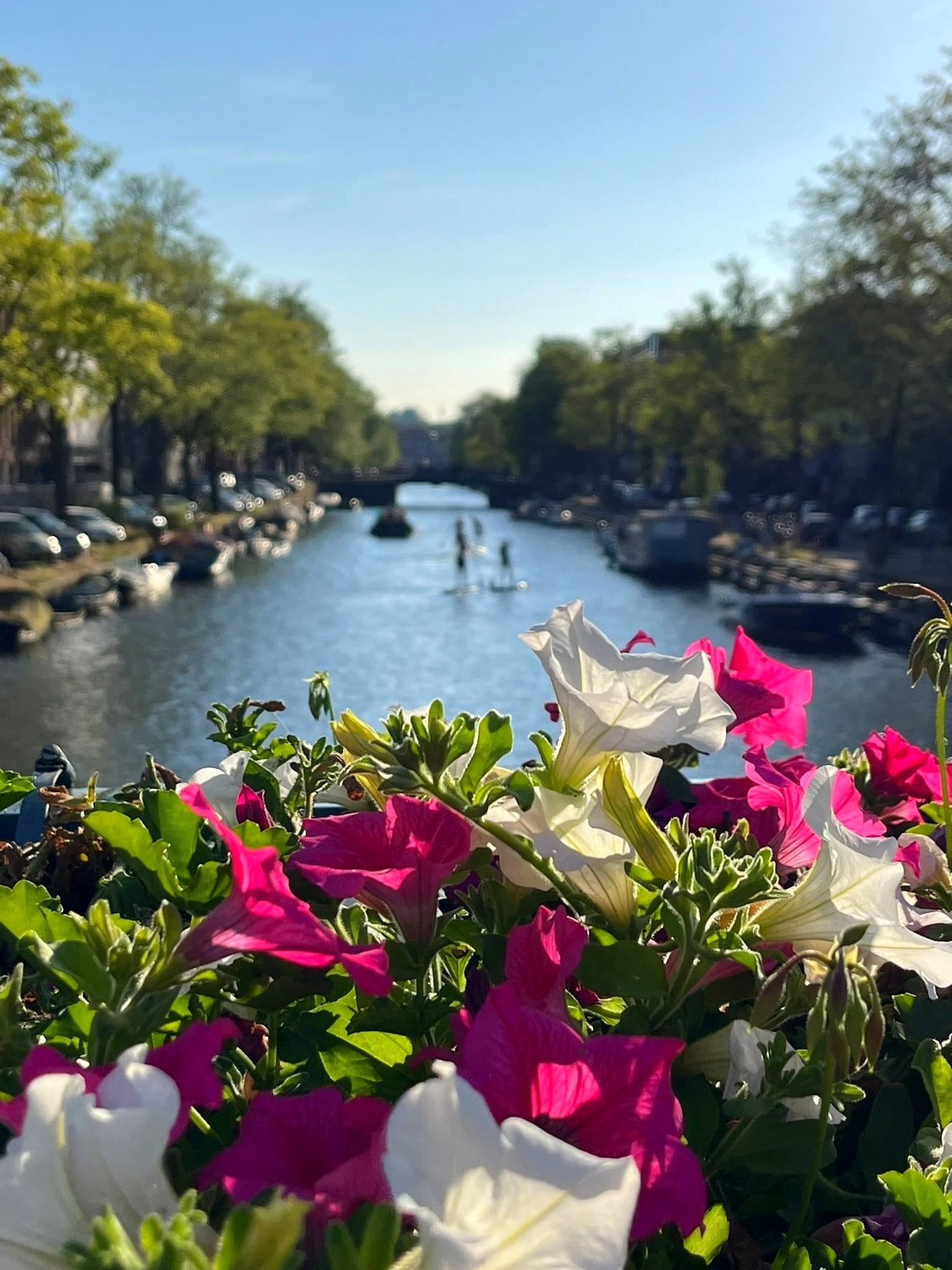 A Solo Traveller’s First Impressions of Amsterdam (Plus Key Attractions & Tips)
