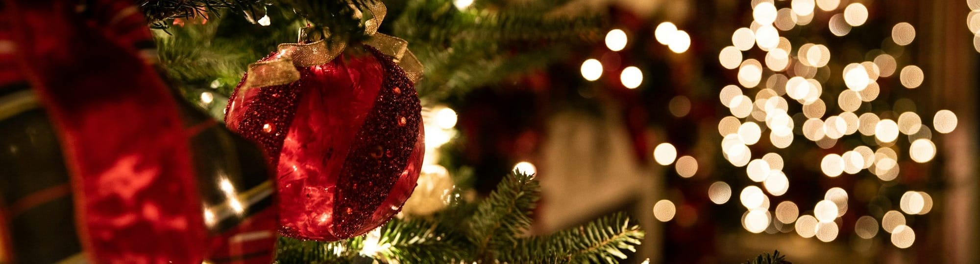 green Christmas tree