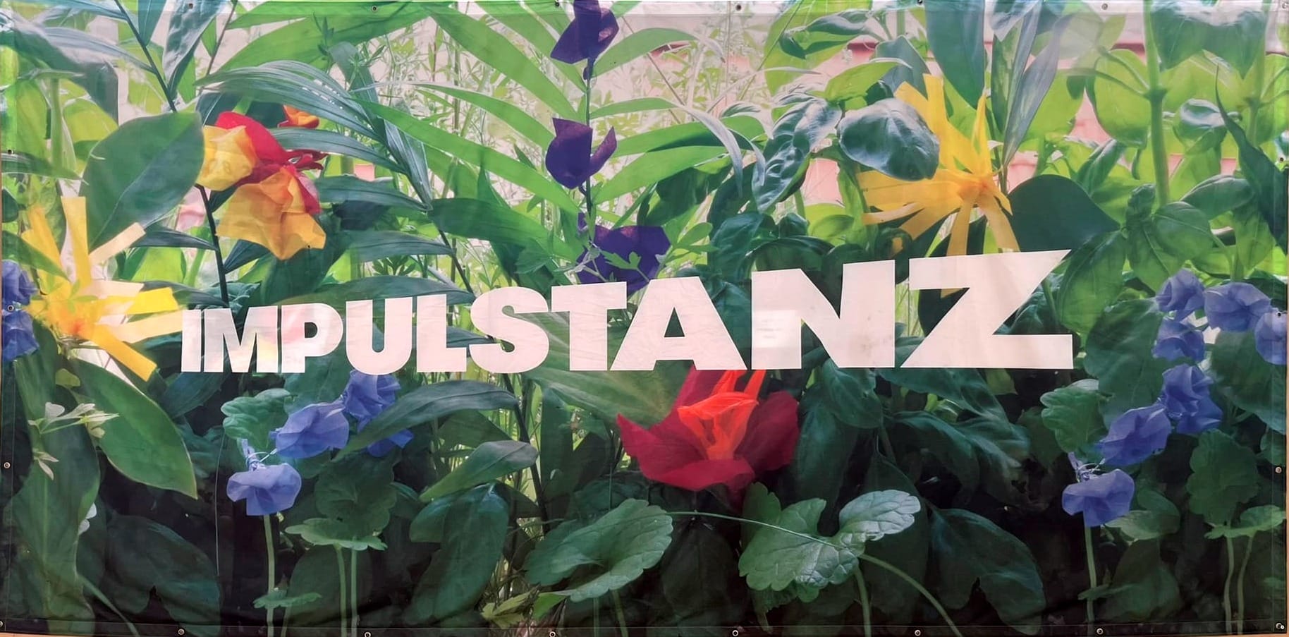 banner with floral background and white text reading "IMPULSTANZ" in all caps