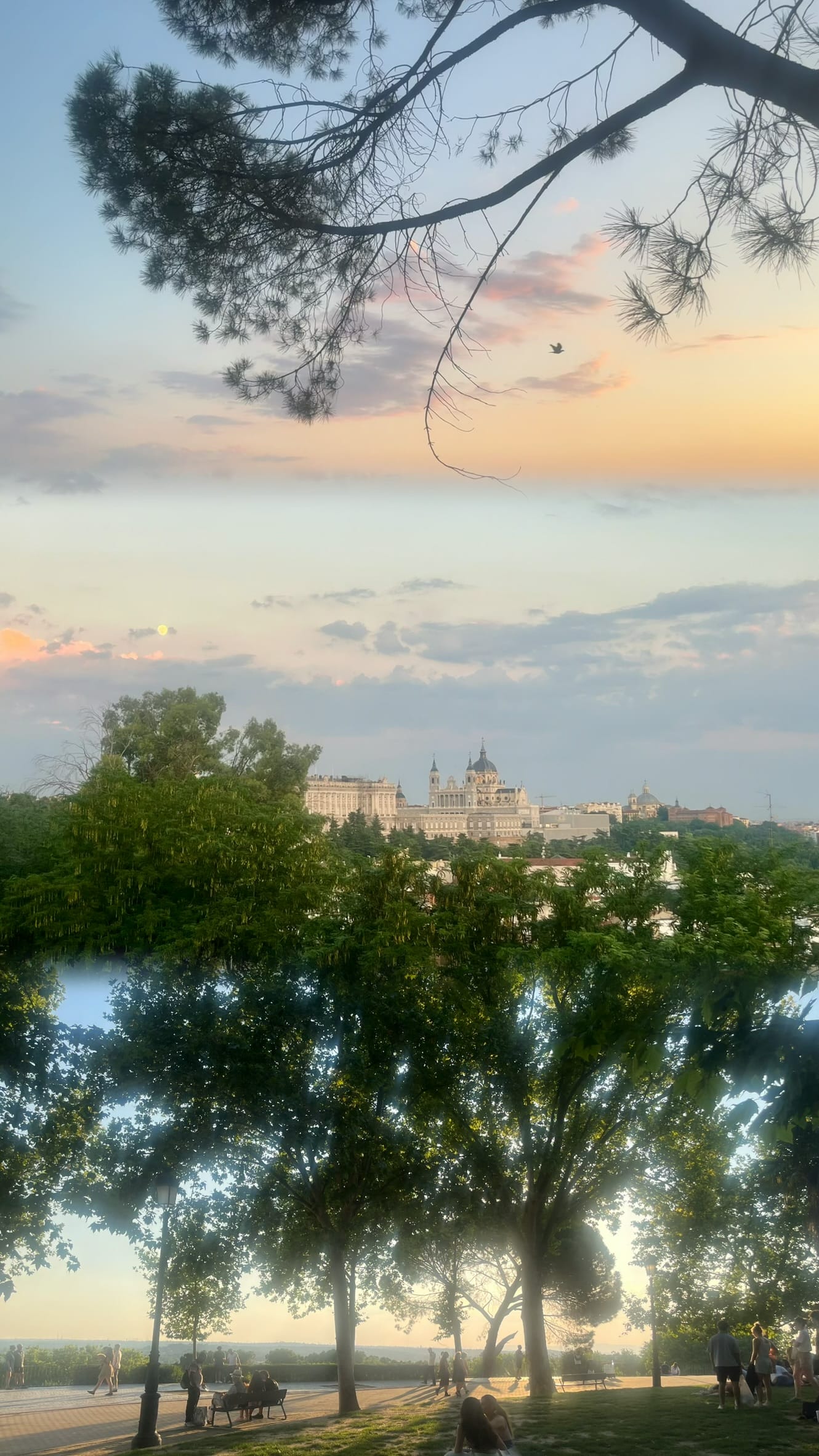 bird flying in sky, cathedral in the distance, and trees in a park