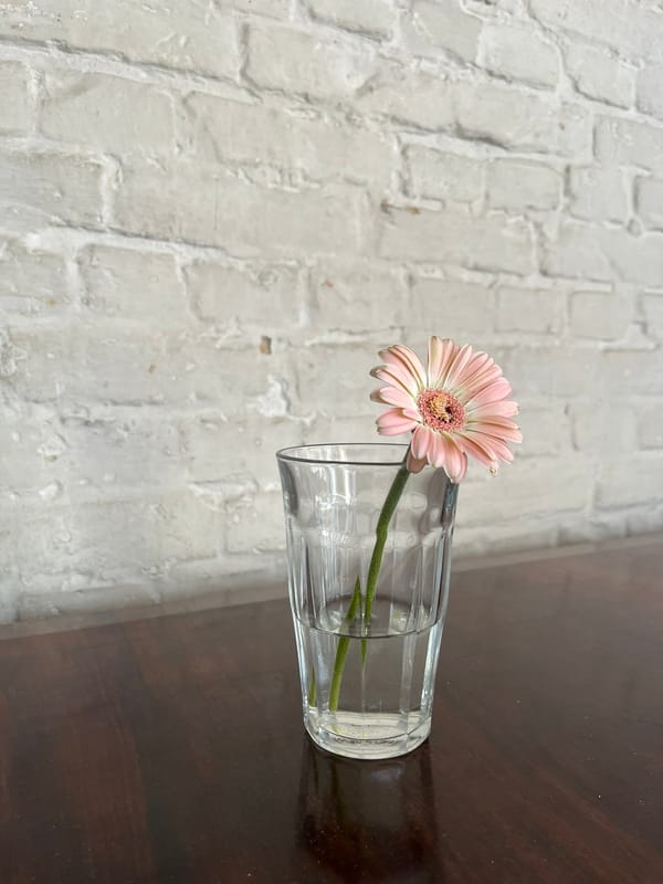 b12 Berlin Festival for Contemporary Dance: Week 3 Diary