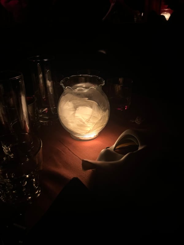 Sleep No More NYC: My First Experience + Malcolm's Private Scene