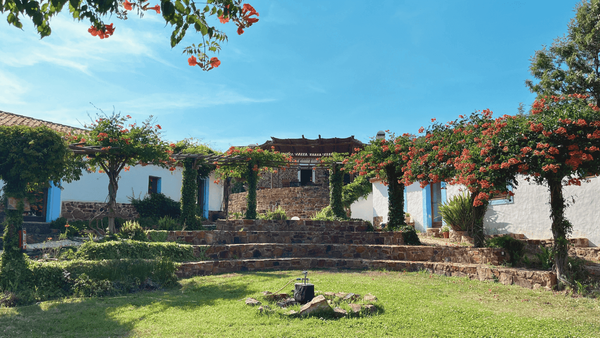 Passion, Play, and Pleasure: Dance Retreat in Southern Portugal