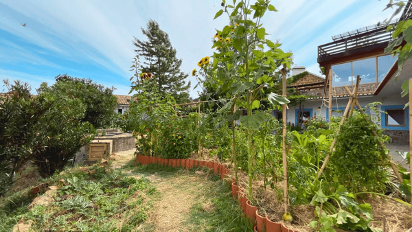 Monte da Orada: Portugal’s Ecological Paradise for Healing