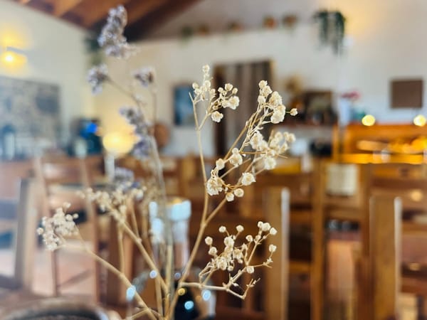 Passion, Play, and Pleasure: The Major Takeaways