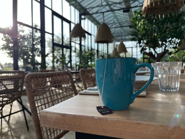 Splinter Surgery & the Curious Case of the Man in the Night