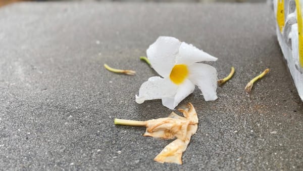 Sickness Abroad: Falling Ill While Solo-Travelling