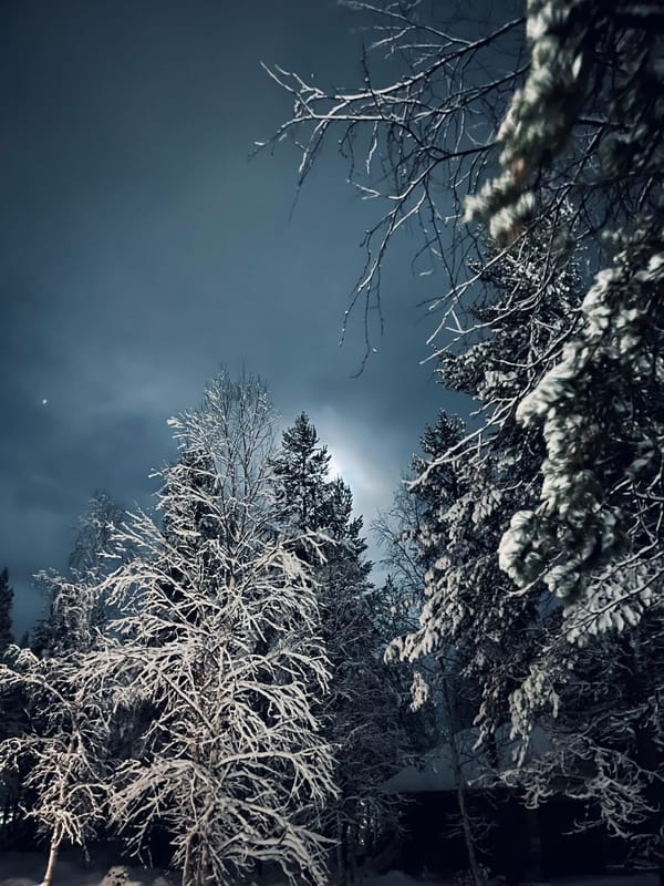 The Truth About Working for Seasonal Tour Operators…