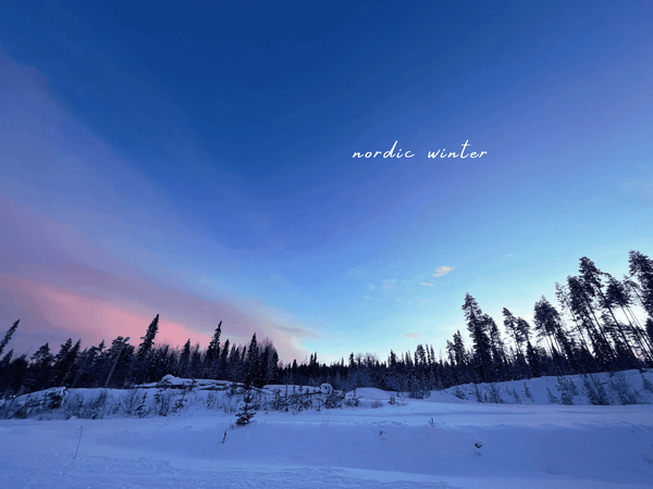 The Beauty of Lapland, Finland: Photo Collection