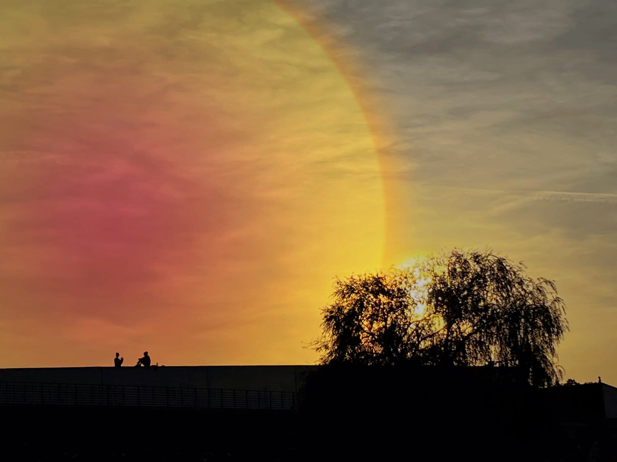 Berlin: City of … Loneliness?