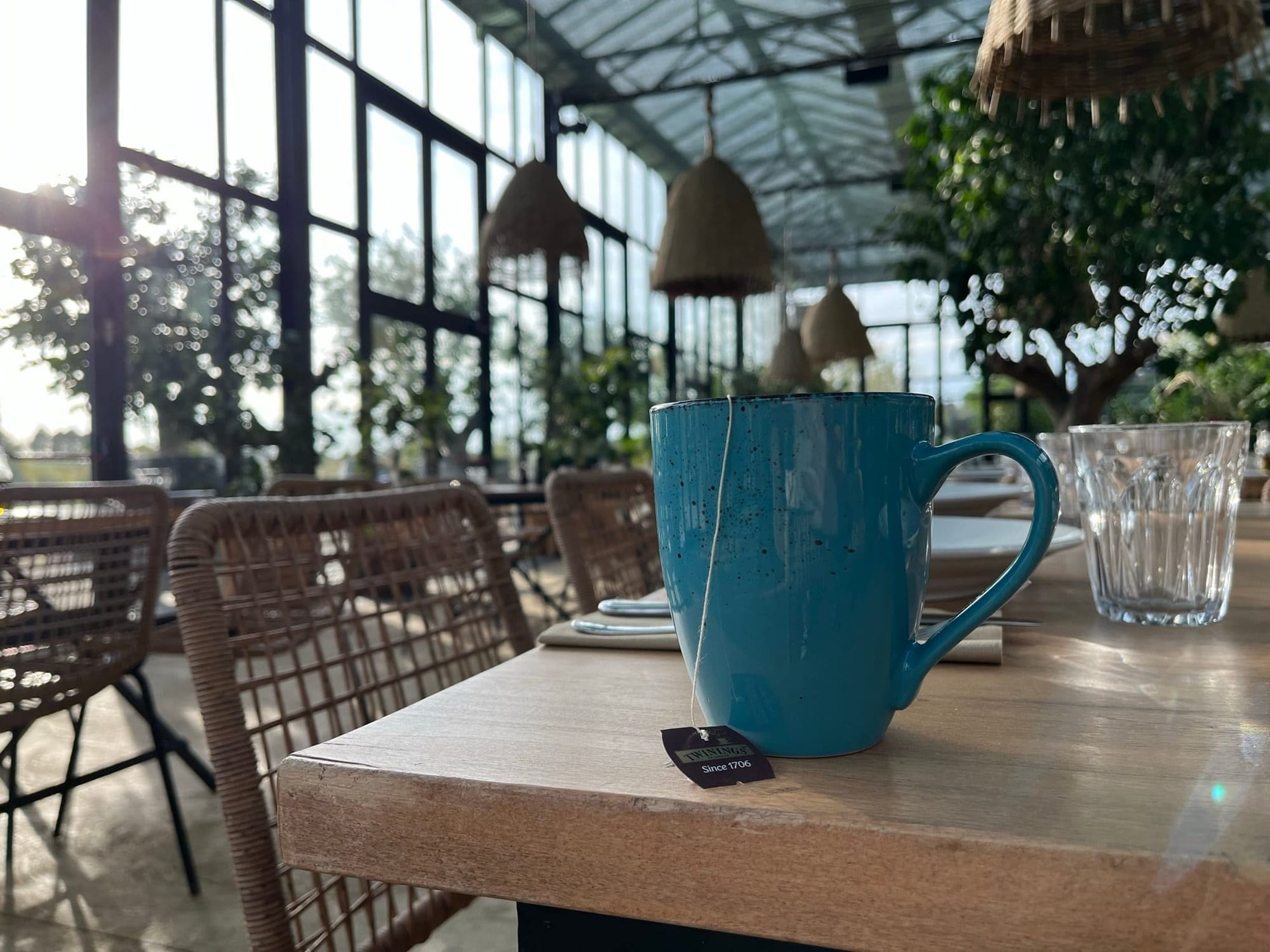 Splinter Surgery & the Curious Case of the Man in the Night