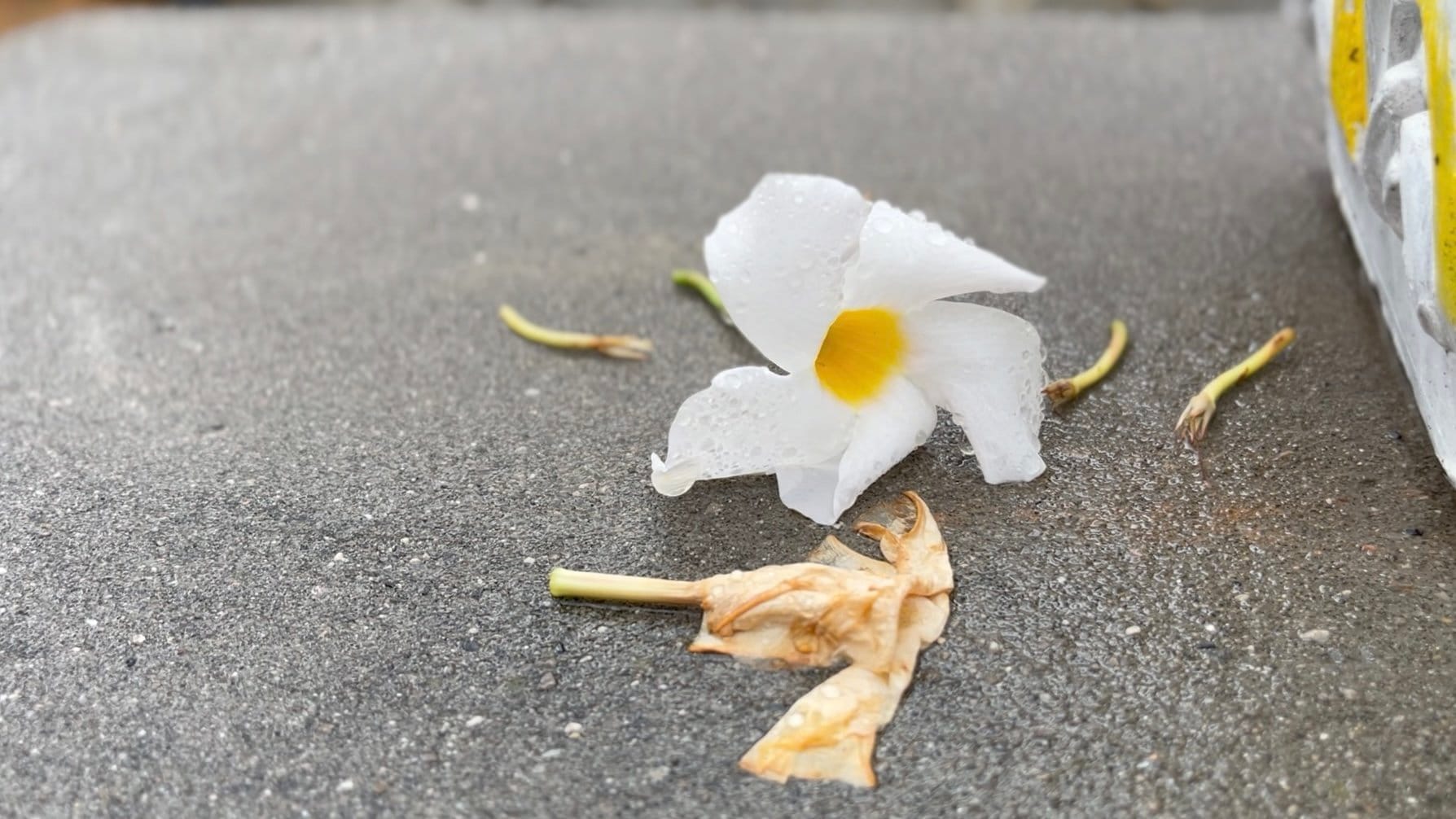 Sickness Abroad: Falling Ill While Solo-Travelling