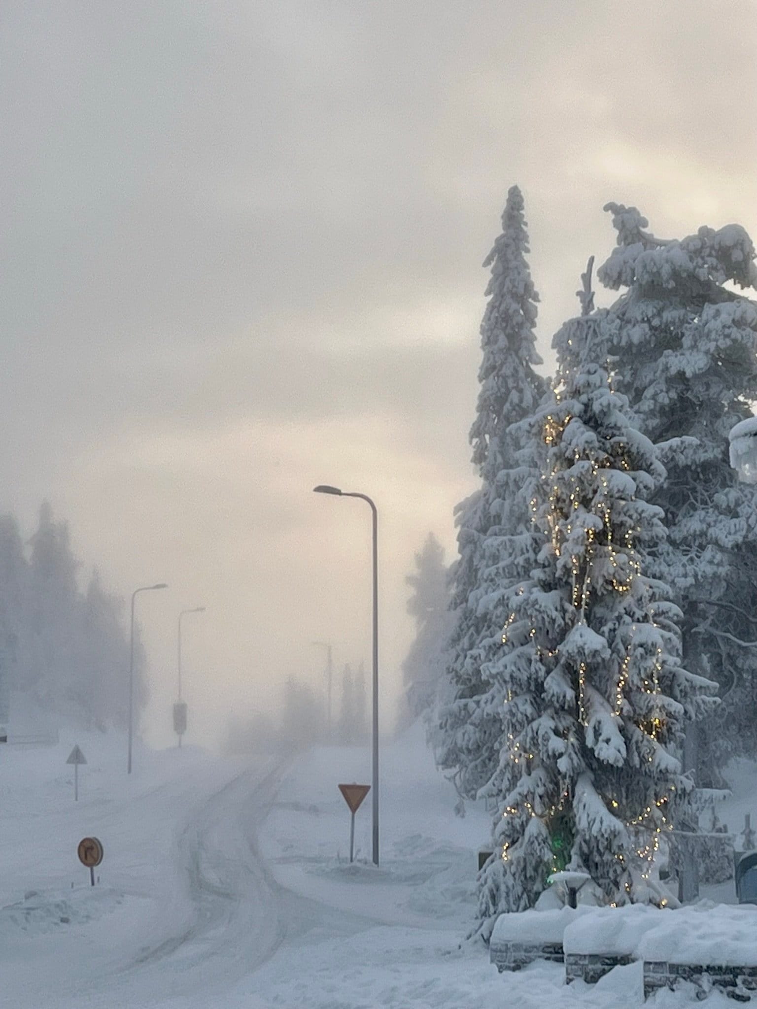 Sound of Silence: The Quiet Nothingness of the Arctic Circle