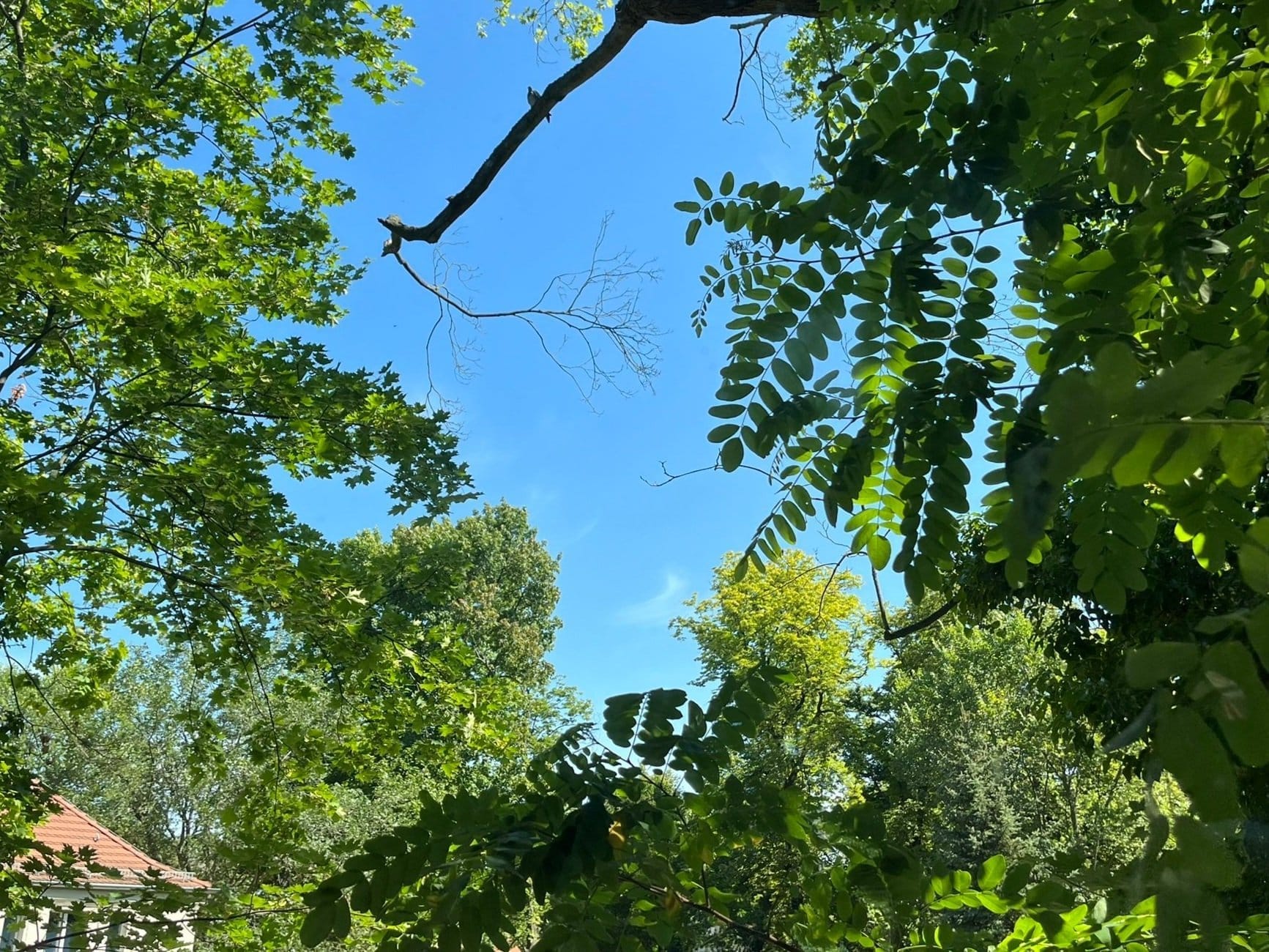 b12 Berlin Festival for Contemporary Dance: Week 2 Diary