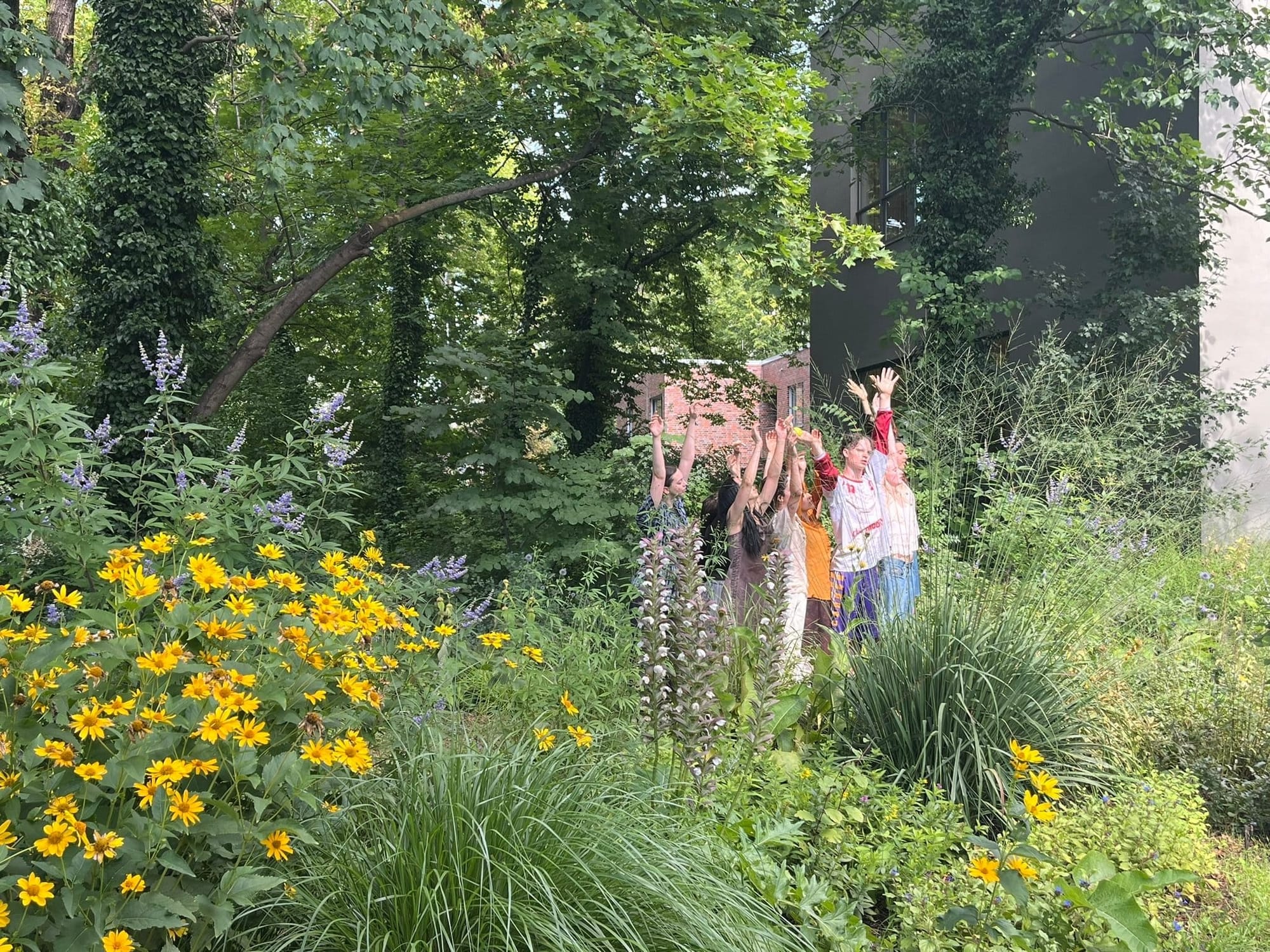 b12 Berlin Festival for Contemporary Dance: Week 4 Diary