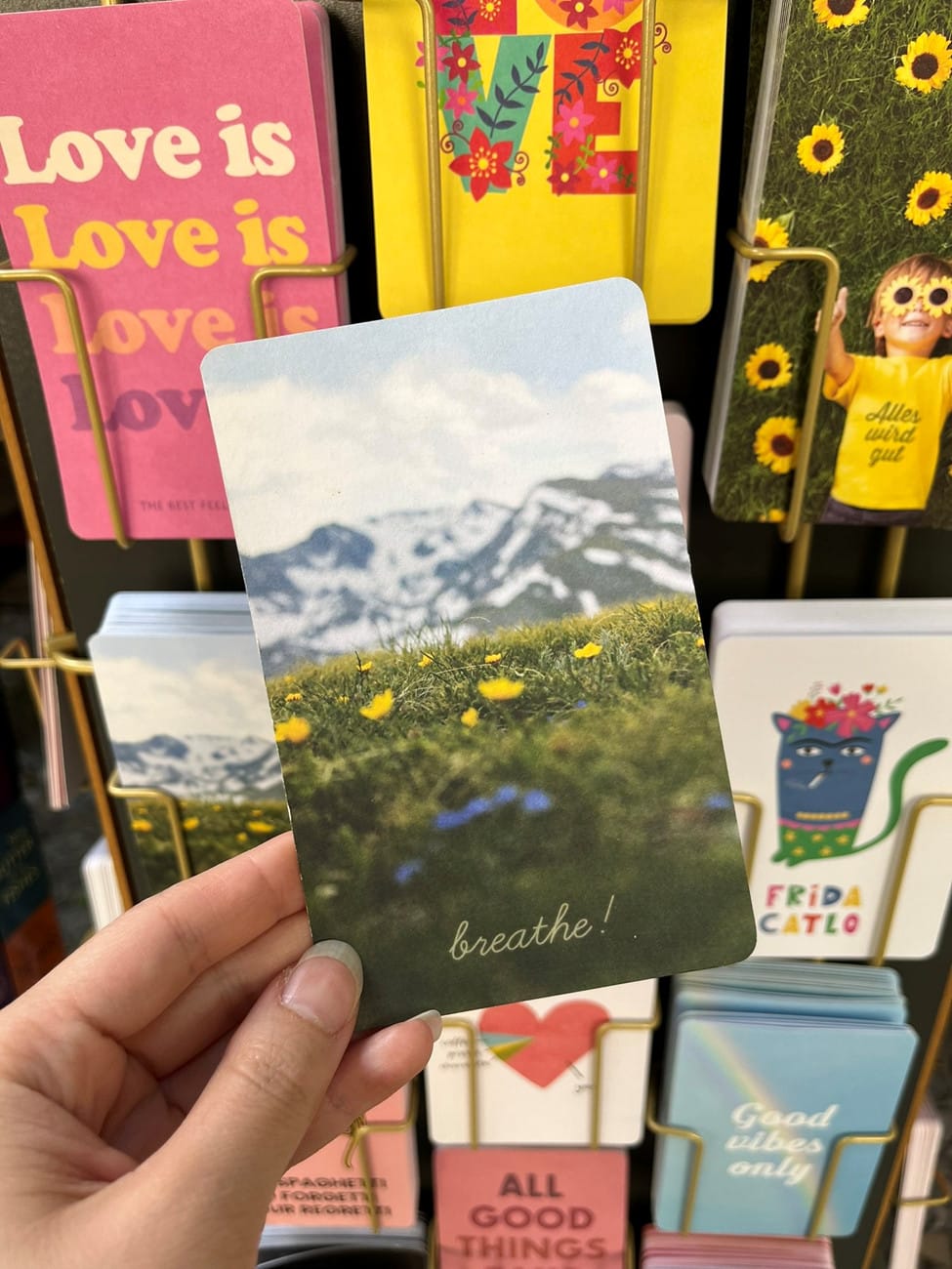 The Guide to Attending b12 Berlin Festival for Contemporary Dance & Performance Art (2024)