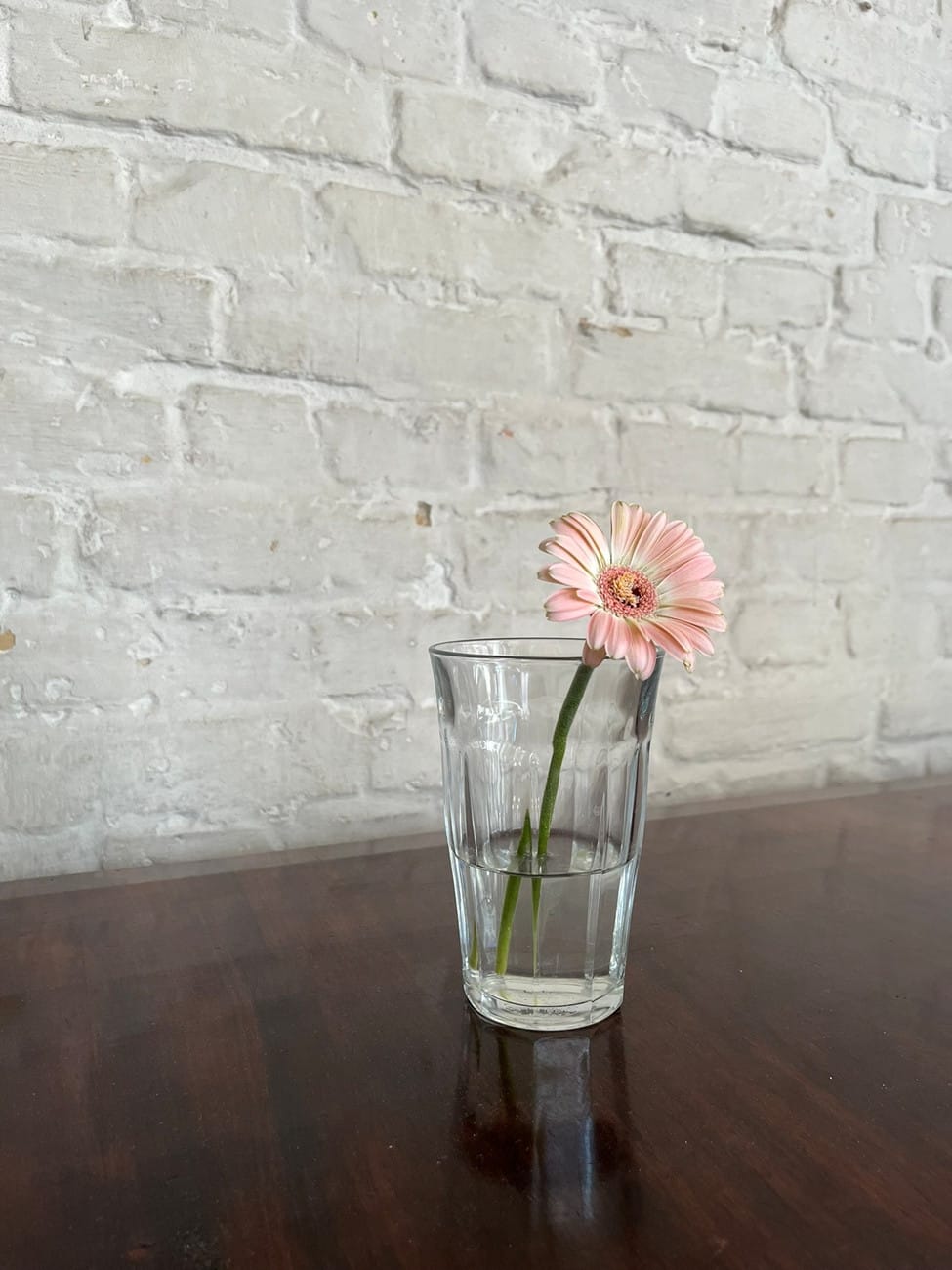 The Guide to Attending b12 Berlin Festival for Contemporary Dance & Performance Art (2024)