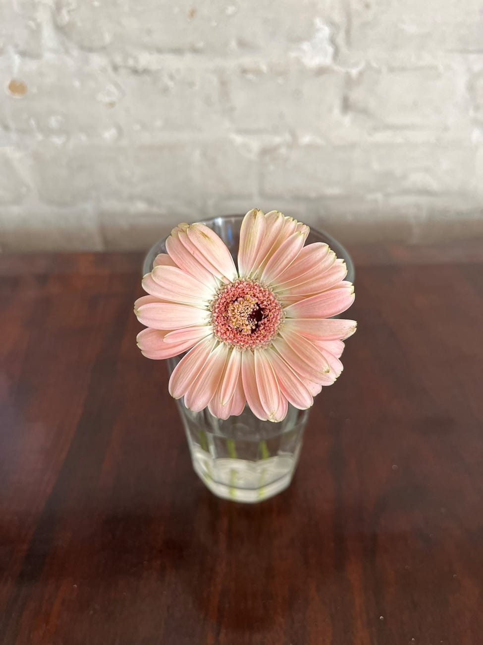 Living in Berlin for One Month: Local Life & Culture