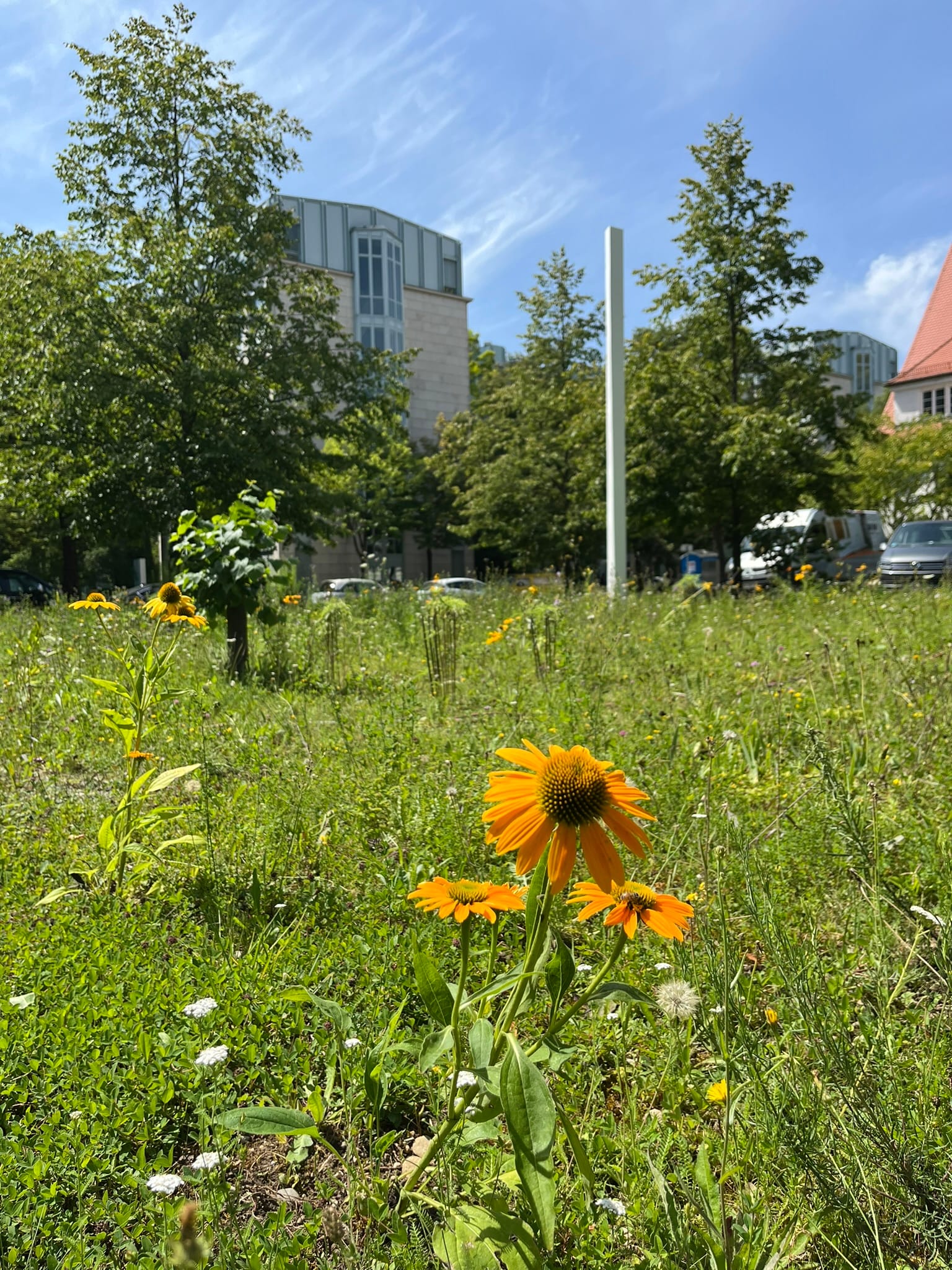 A Solo Traveller’s First Impressions of Munich