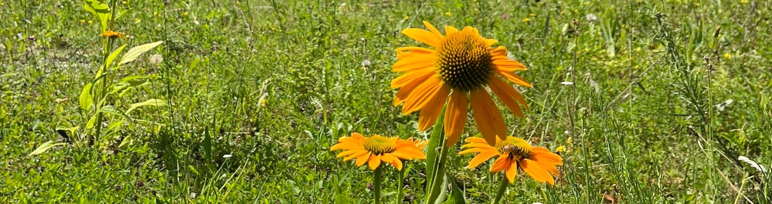 A Solo Traveller’s First Impressions of Munich