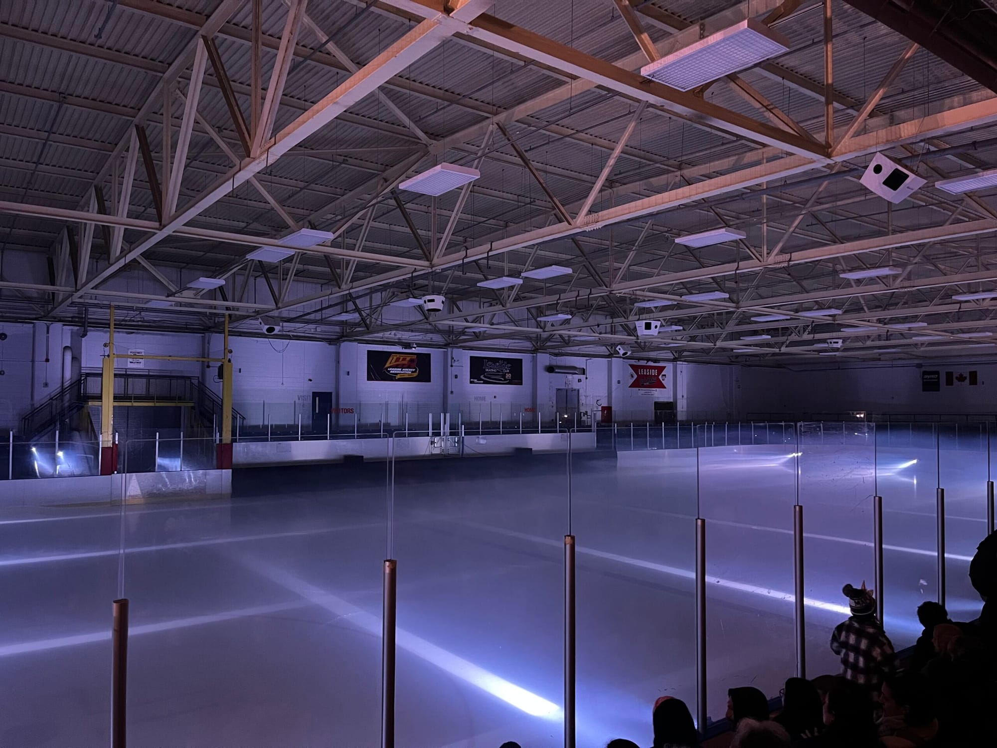 Murmuration: The Ice Dance Show That’s Not Cirque du Soleil