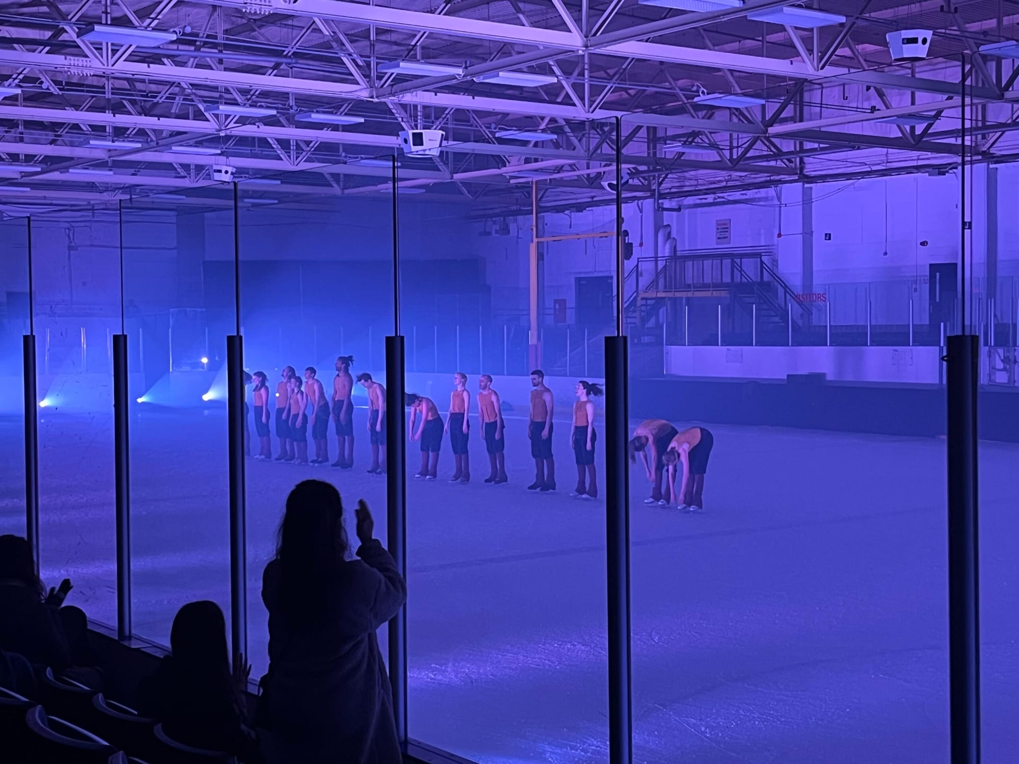 Murmuration: The Ice Dance Show That’s Not Cirque du Soleil